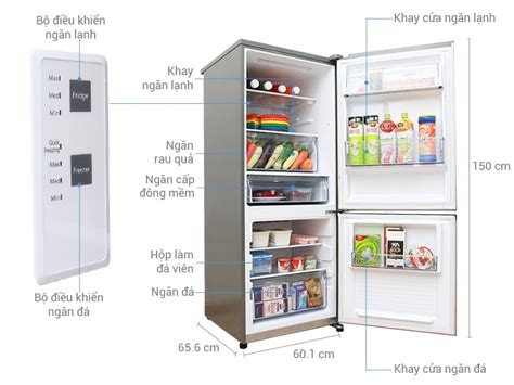 cấu tạo của tủ lạnh